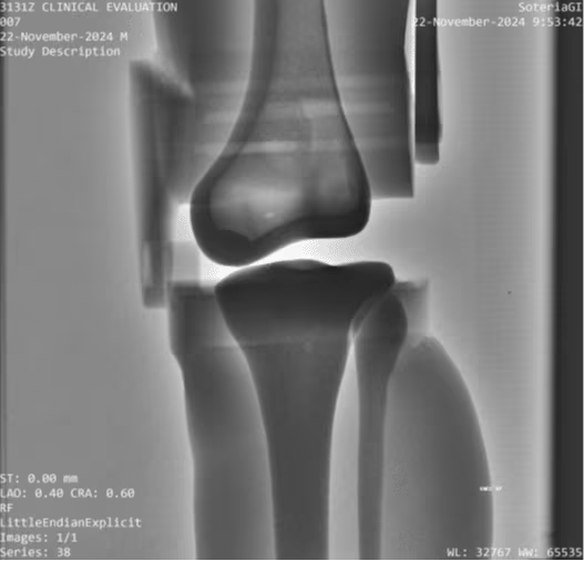 Adult Full Body for X-Ray CT, MRI FB-A01 image 21