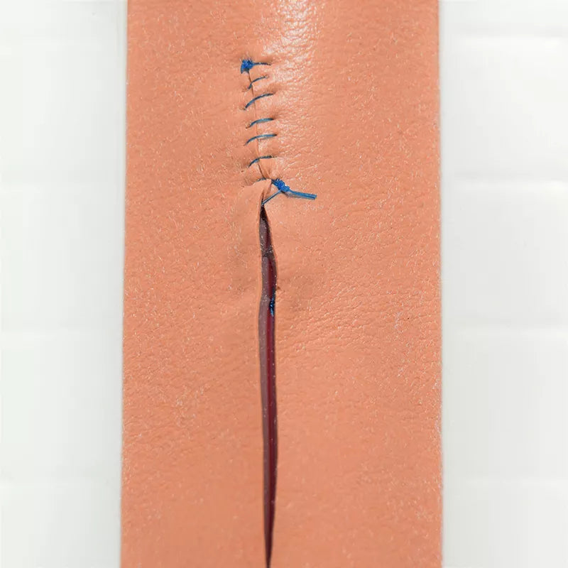 Simulated Rat/Mouse Tissue with Real Layer Technology SRE0200LLARM 