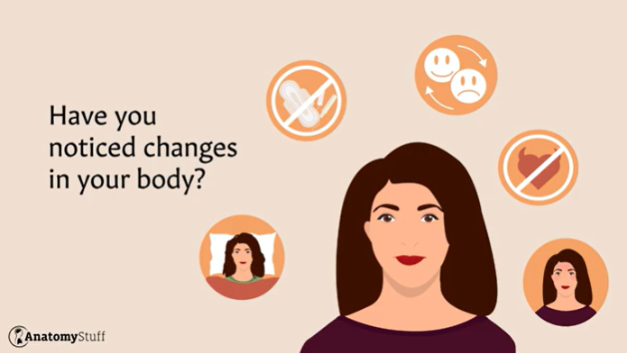 Everything You Need to Know about Menopause