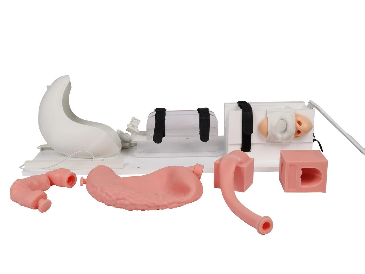 Separate Components of the EGD Simulator