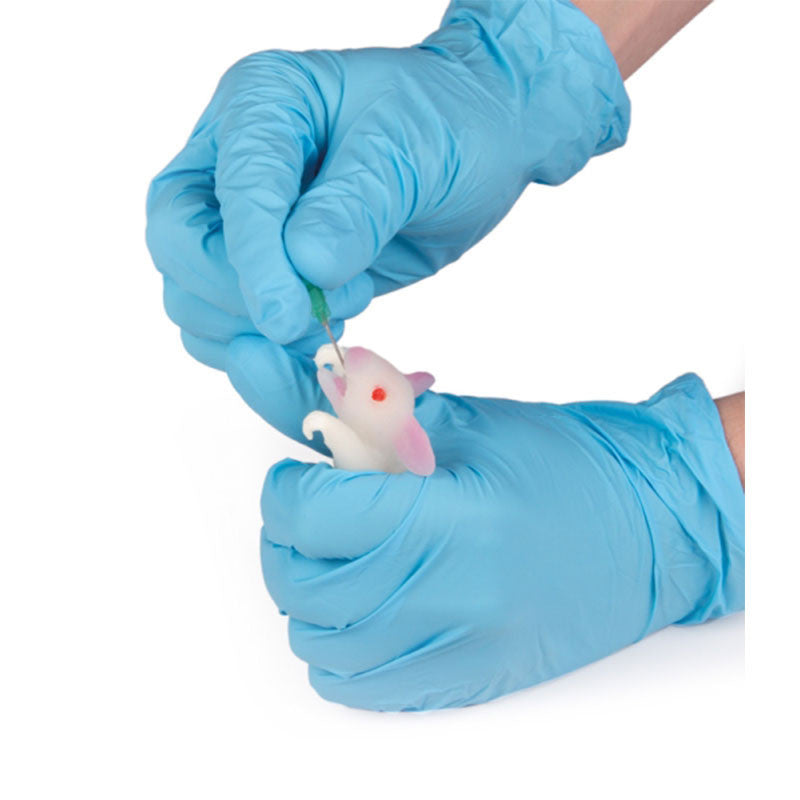 Mouse Simulation Model