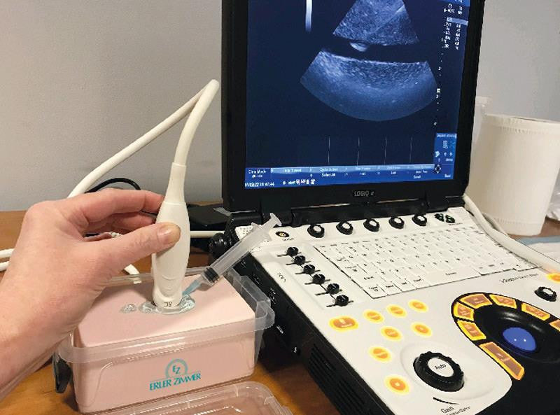 SonoEZ Ultrasound Trainer