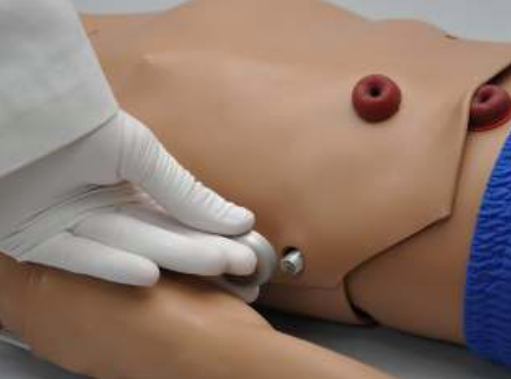 Subclavian Access Features for Five-Year-Old Multipurpose Patient Simulator