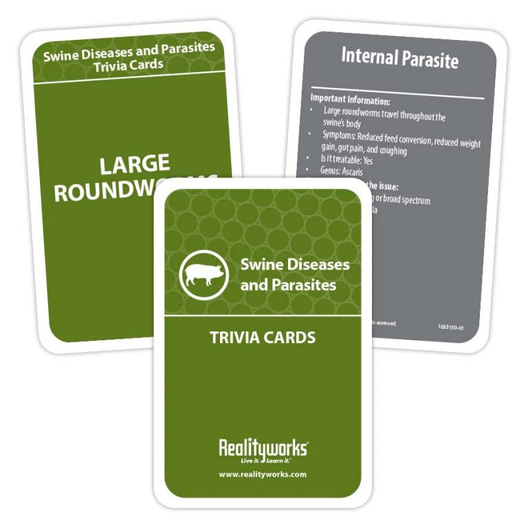 Pig Breed Identification Flashcards