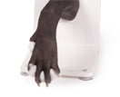 Switch Toes Separated By Cotton On Canine Paw Bandage Trainer 2 image