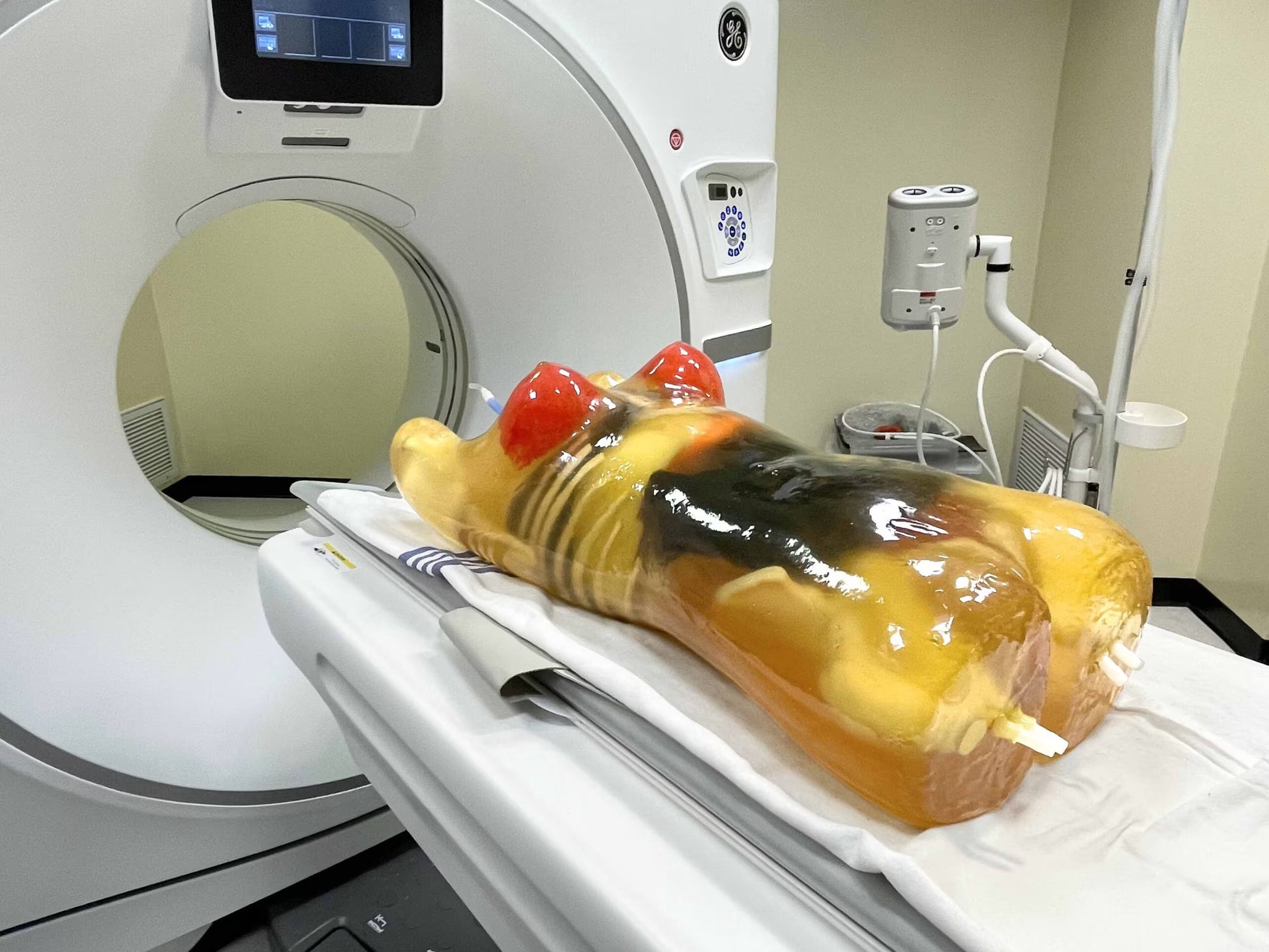 Adult Female Torso Phantom for X-Ray CT, MRI