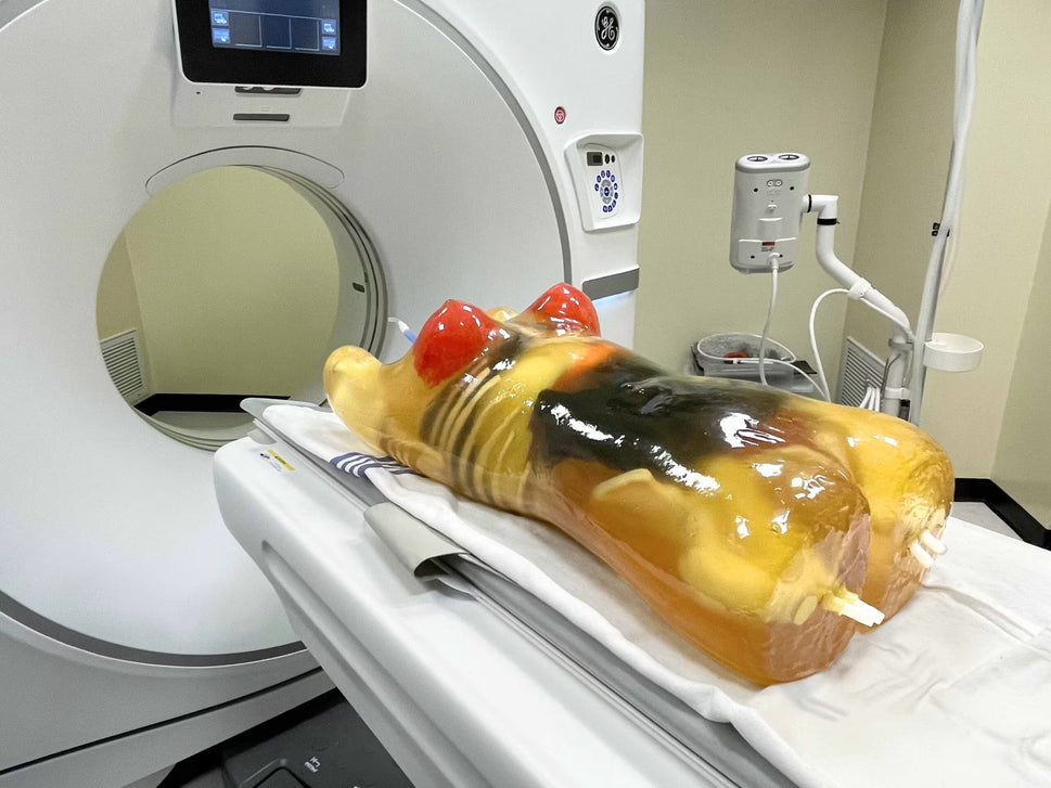 Adult Female Torso Phantom for X-Ray CT, MRI