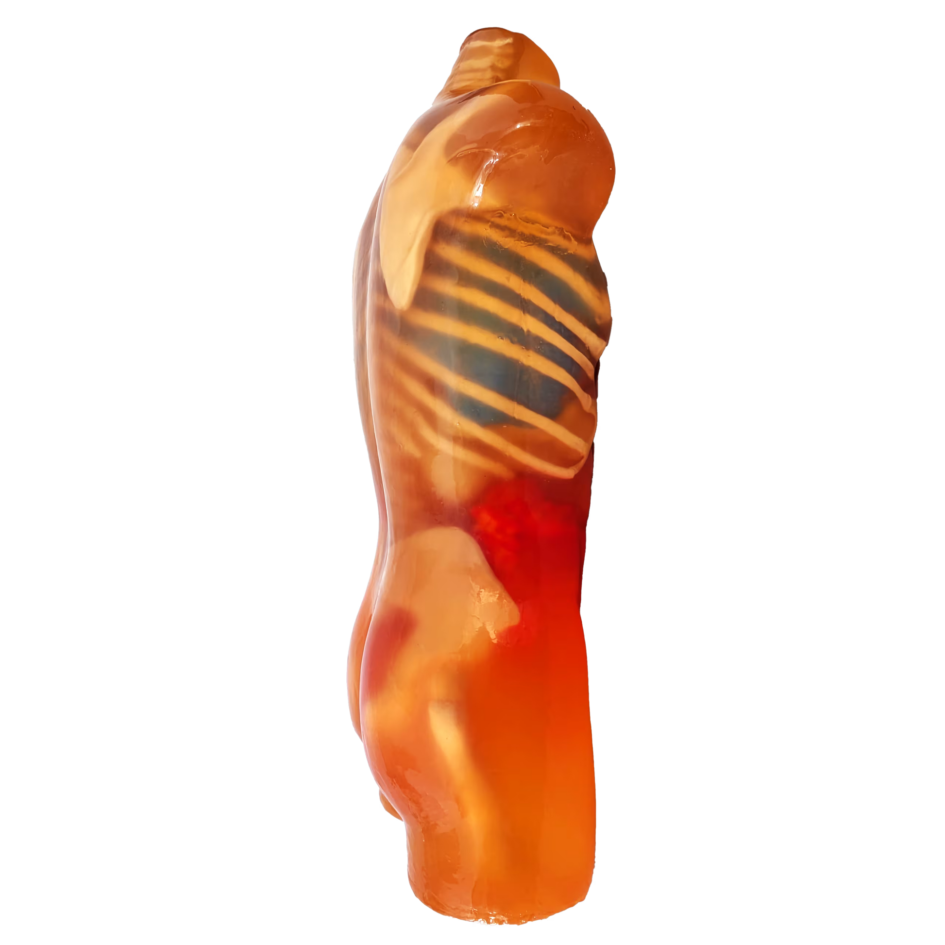 Adult Torso Phantom for X-Ray CT, MRI