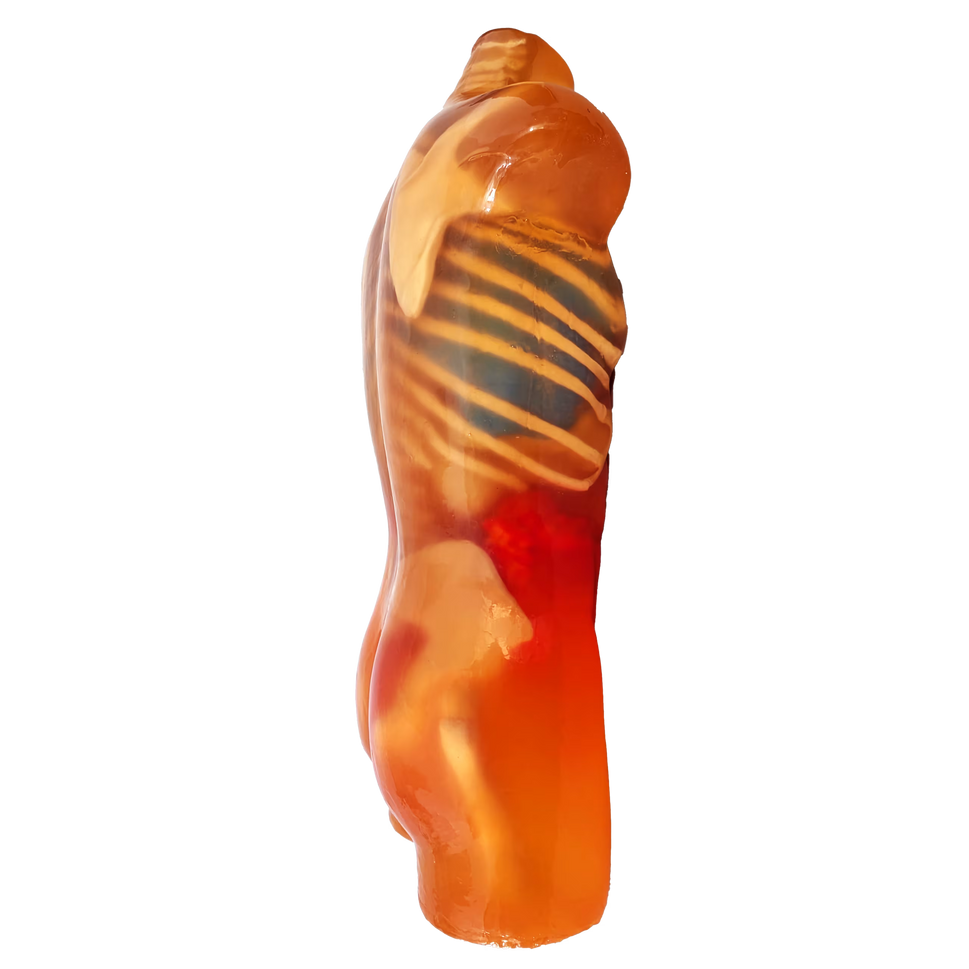 Adult Torso Phantom for X-Ray CT, MRI