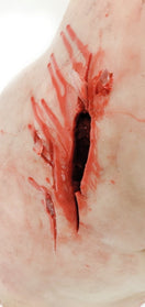 Switch Wound on Trauma Training Torso 3 image
