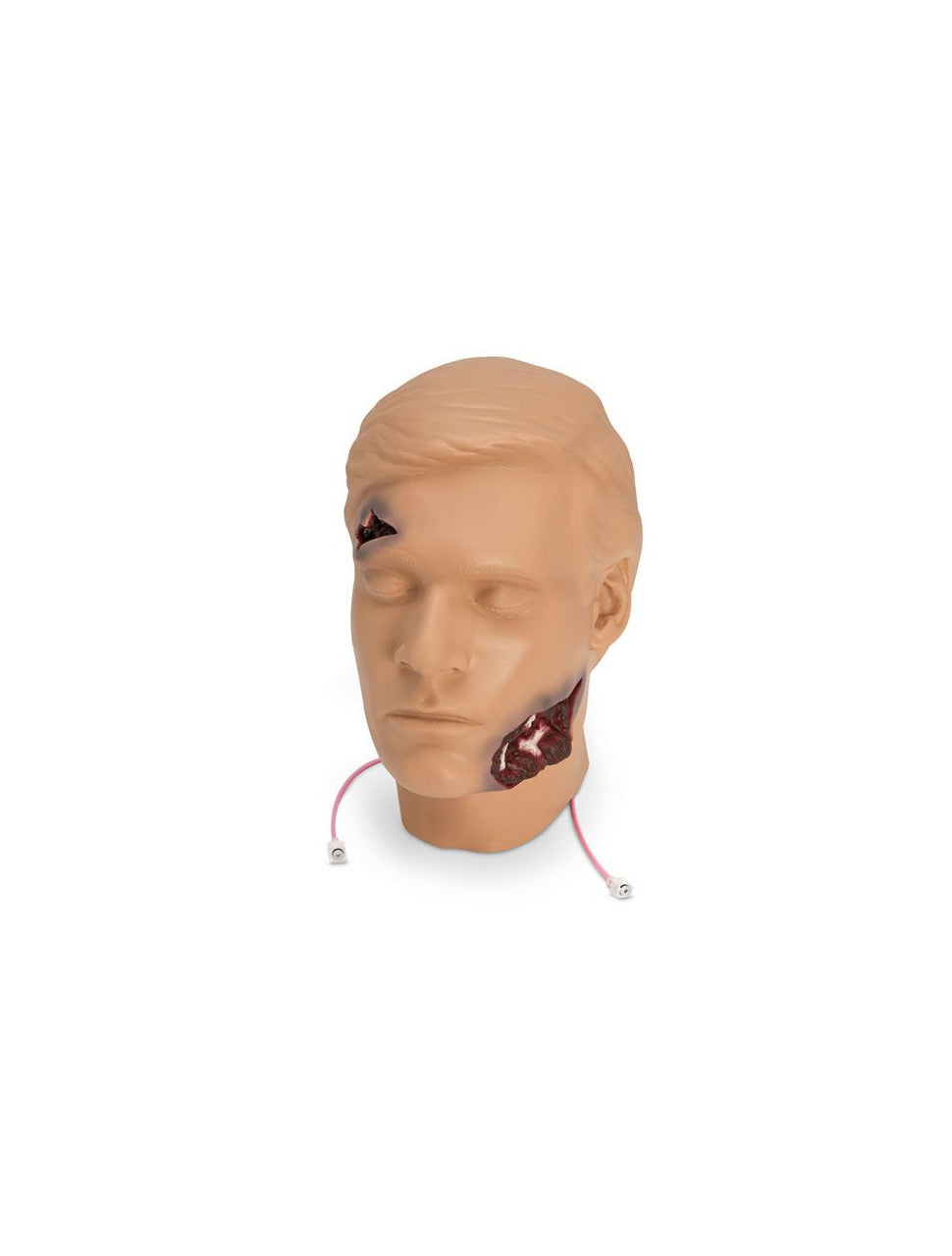Rescue Manikins | Simulaids Rescue Randy Dummies – AnatomyStuff