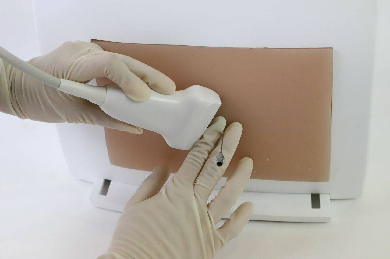 Adult Lumbar Puncture Ultrasound Training Model