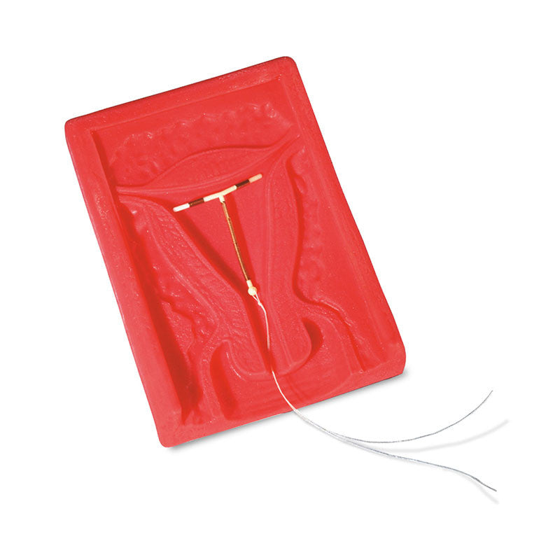 Uterus for I.U.D Training
