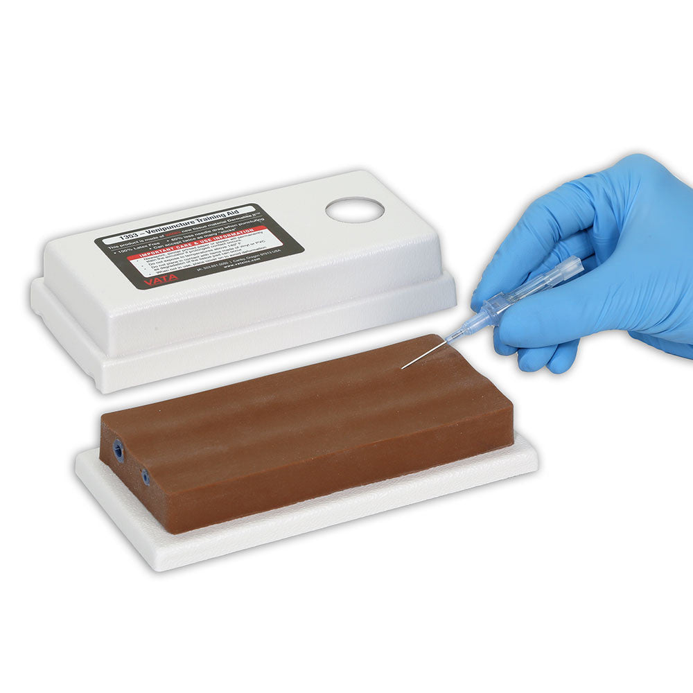 Two-Vein Venipuncture Training Aid