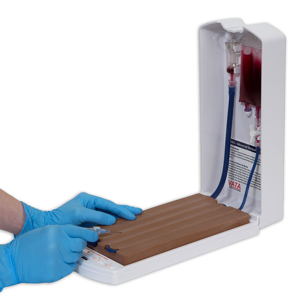 Advanced Four-Vein Venipuncture Training Aid