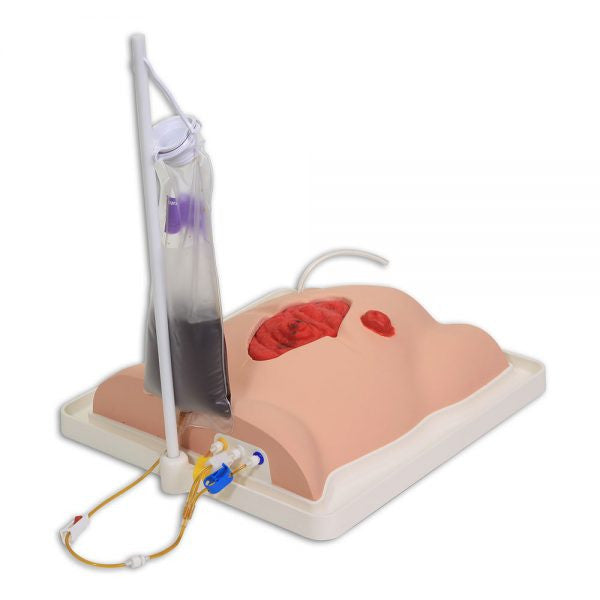 Freddie Fistula Skills Trainer