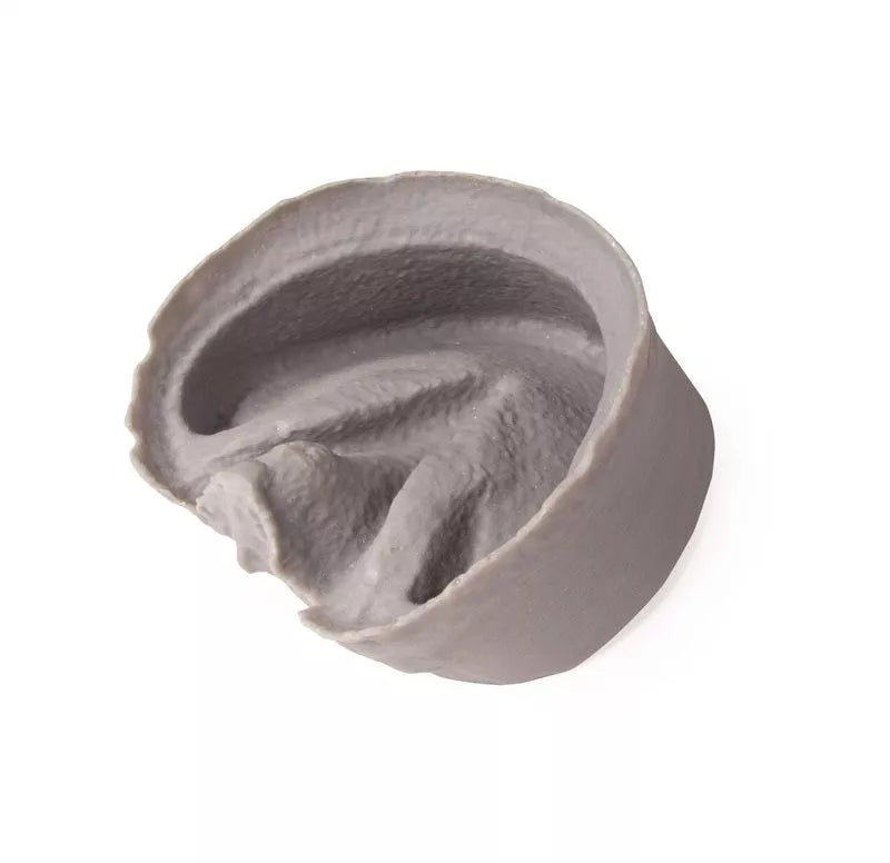 3D Printed Equine Hoof Capsule VET4400-1 top view