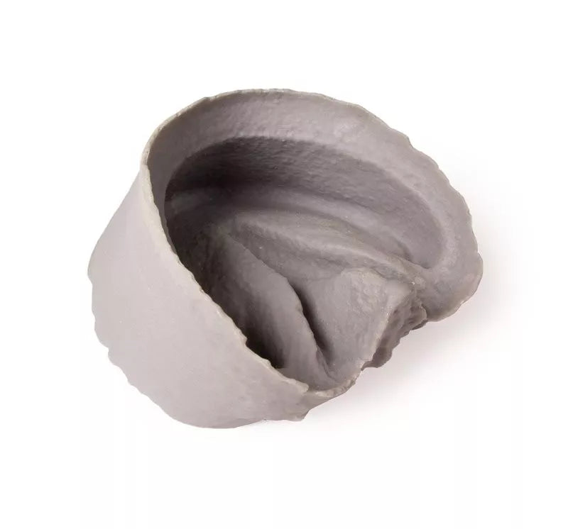 3D Printed Equine Hoof Capsule VET4400-1 top view