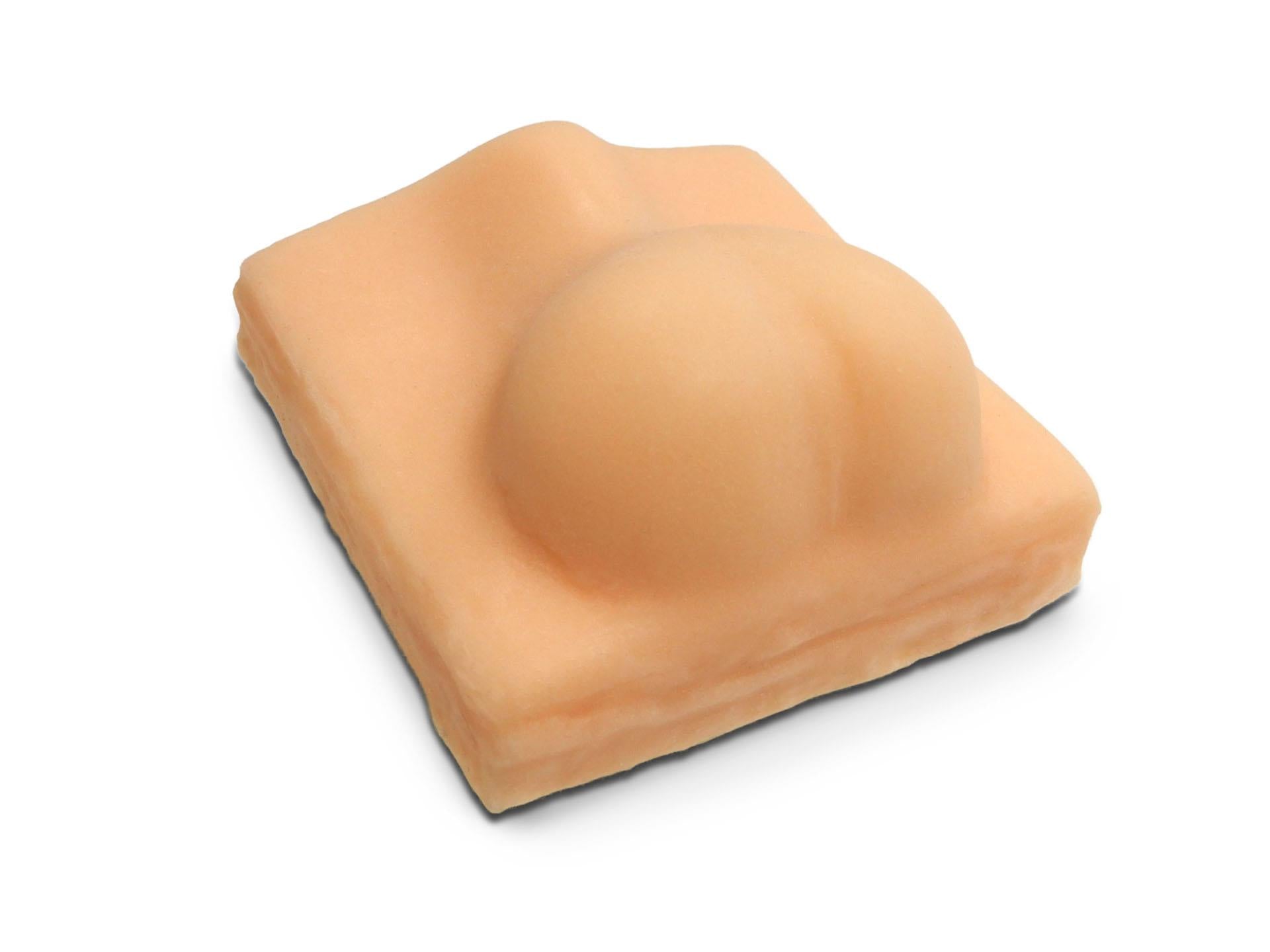 Canine Castration Training Model