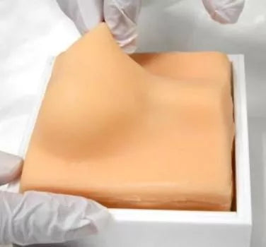 Canine Castration Training Model