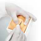 Switch Canine Castration Training Model VET4530 image 6 2 image