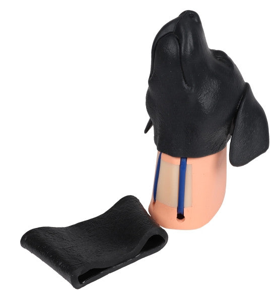 Canine Jugular Venipuncture Training Head