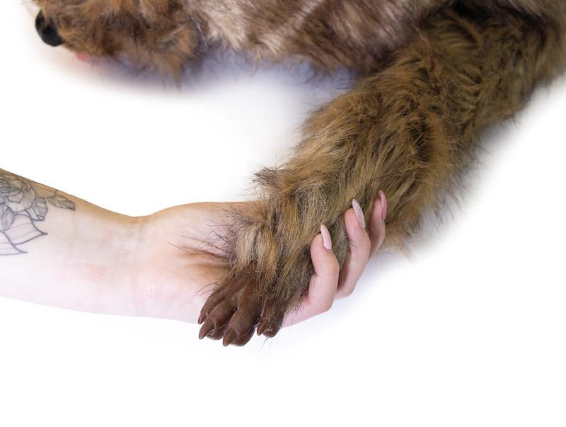 Realistic Paw on "Rocky" Canine Positioning Manikin