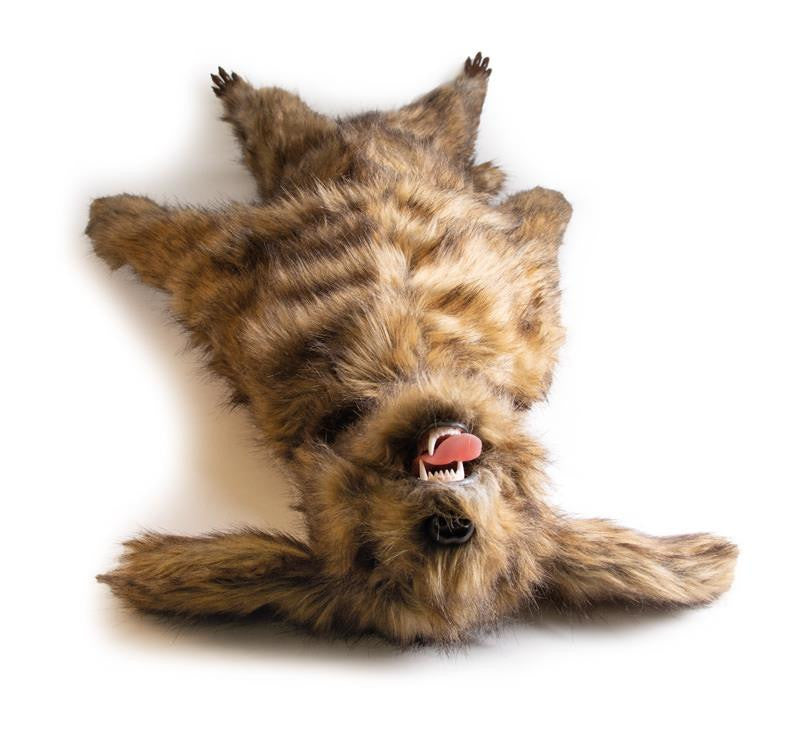 Superior View of Dog Positioning Manikin