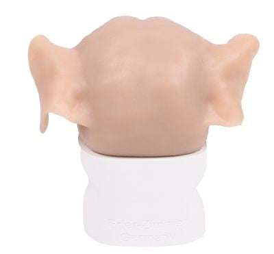 Posterior Aspect of the K9 Otoscopy Canine Simulator