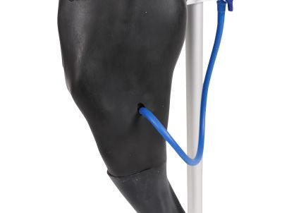 Vein access on the  Vicky Canine Venipuncture & IM Simulator