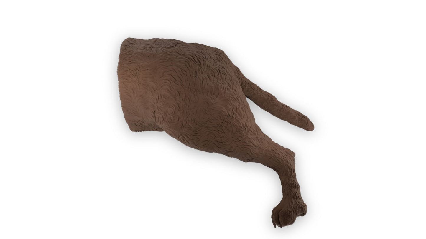 "Rex" Male Dog Catheterisation Simulator