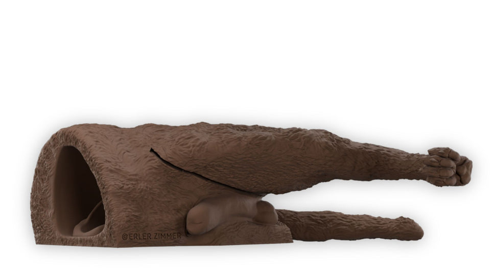"Rex" Male Dog Catheterisation Simulator