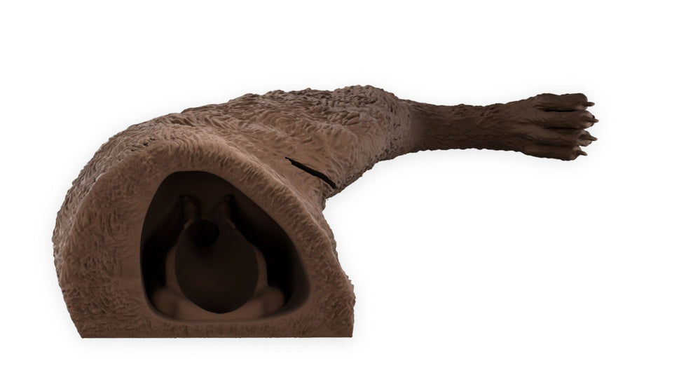 "Rex" Male Dog Catheterisation Simulator