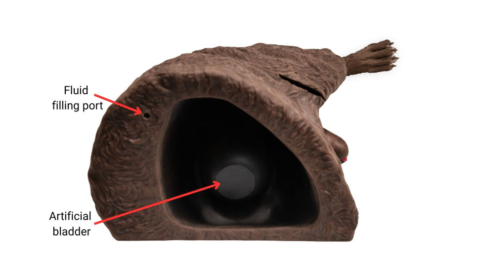 "Rex" Male Dog Catheterisation Simulator