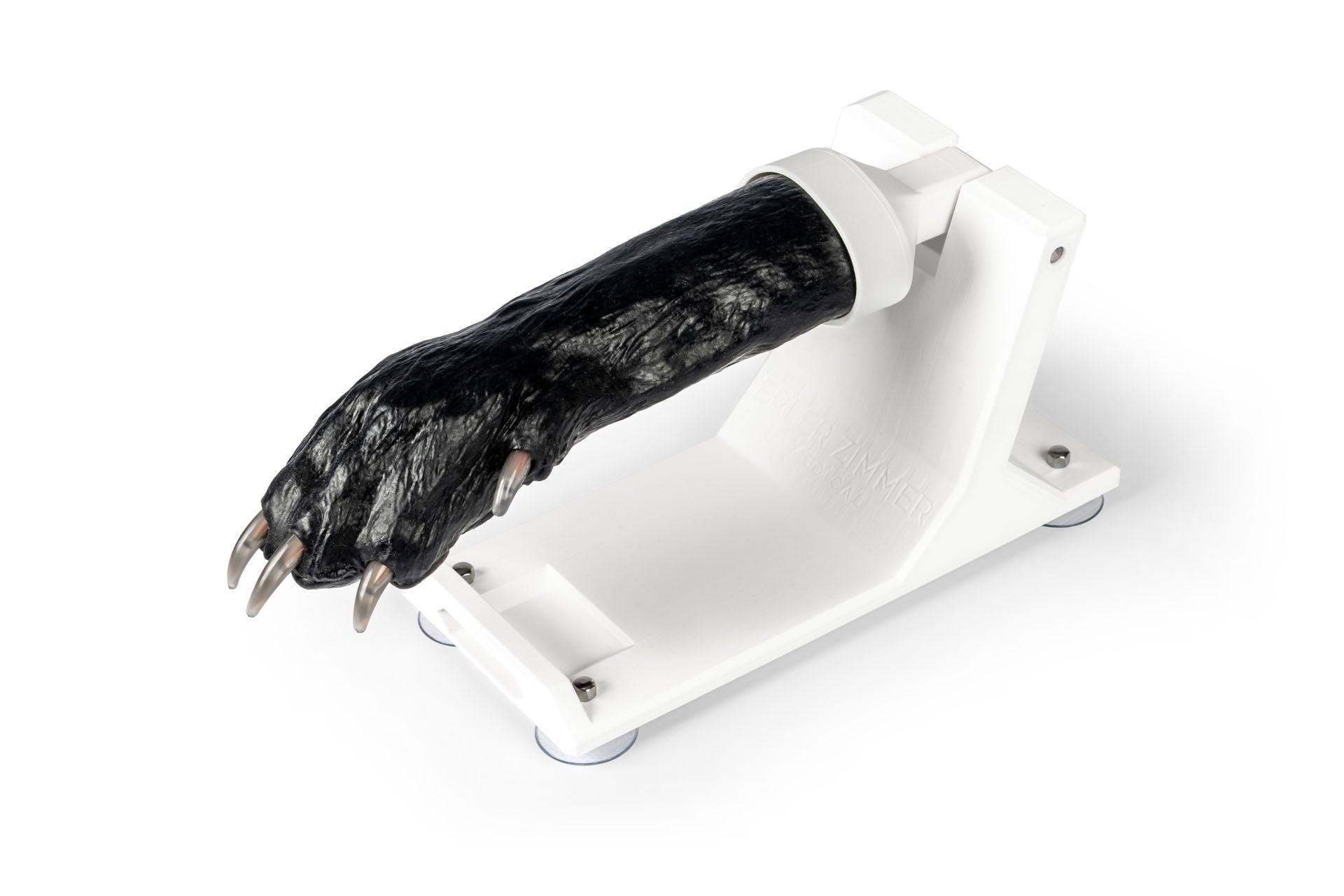 Canine Claw Trimming Trainer