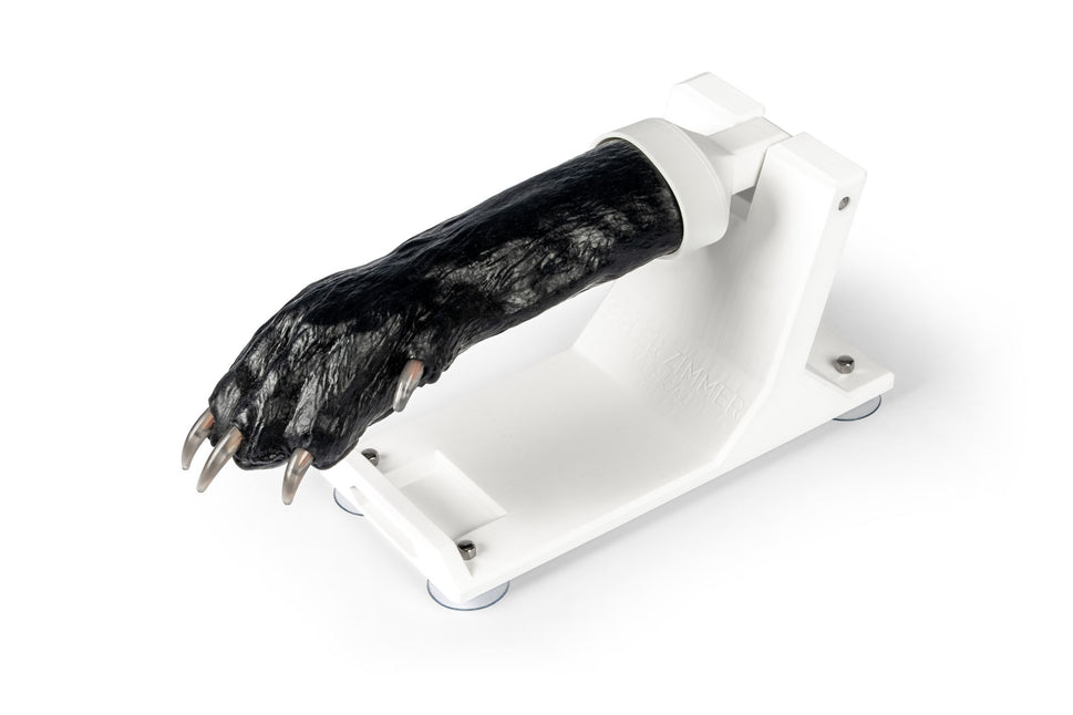 Canine Claw Trimming Trainer