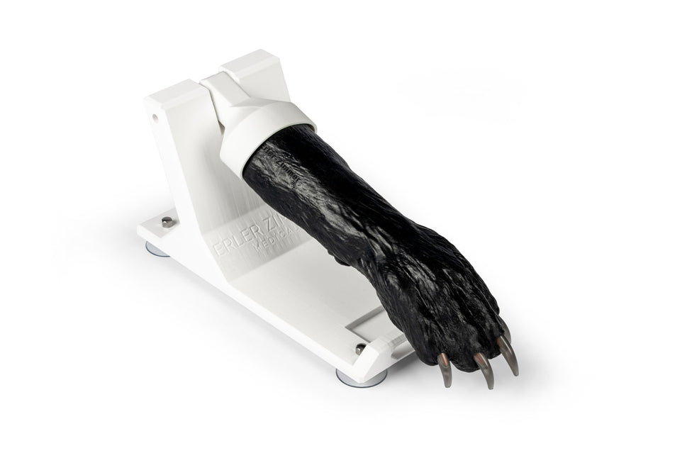 Canine Claw Trimming Trainer