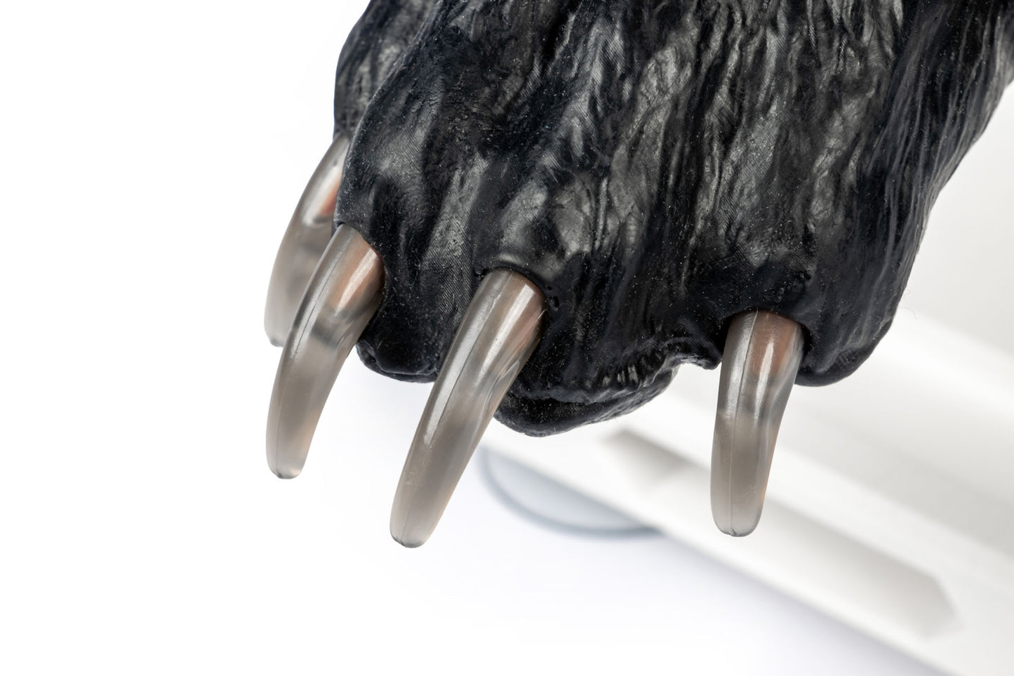 Canine Claw Trimming Trainer VET4760 close up of claws