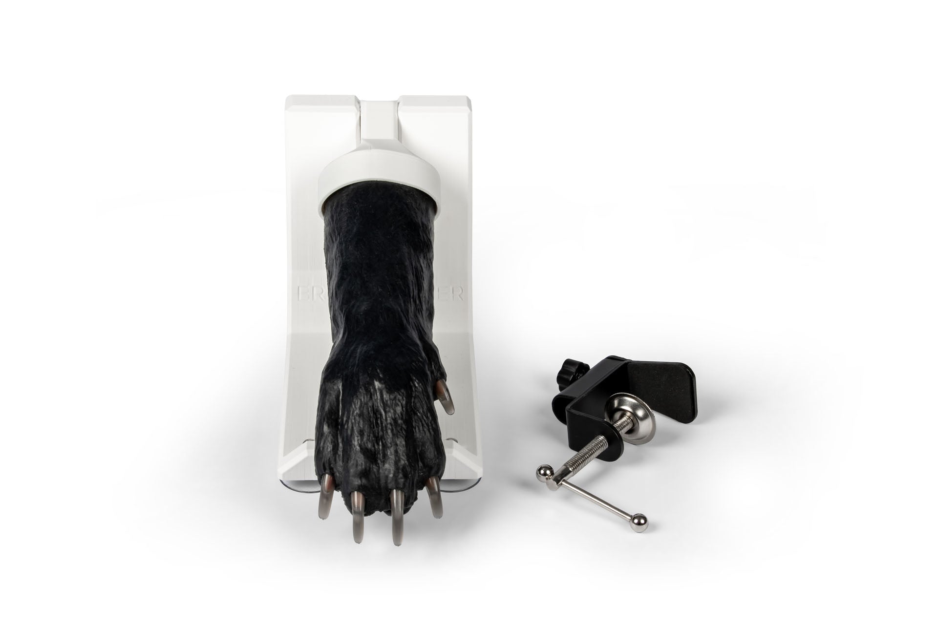 Canine Claw Trimming Trainer