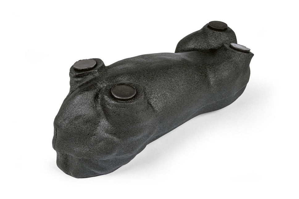 'Lillie' Canine Ultrasound Phantom Training Kit