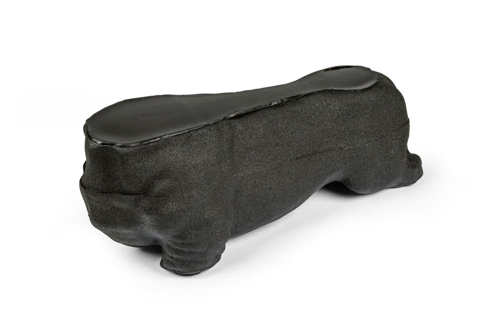 'Lillie' Canine Ultrasound Phantom Training Kit