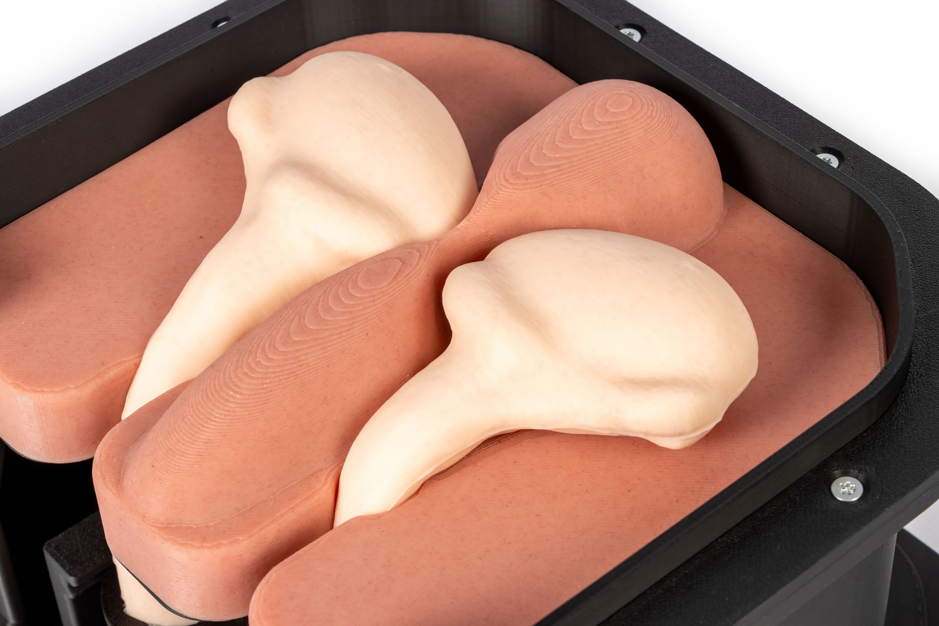Equine Castration Surgical Simulator