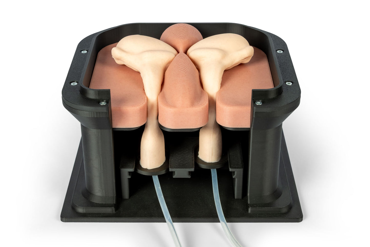 Equine Castration Surgical Simulator VET4810 close up of unit without skin cover