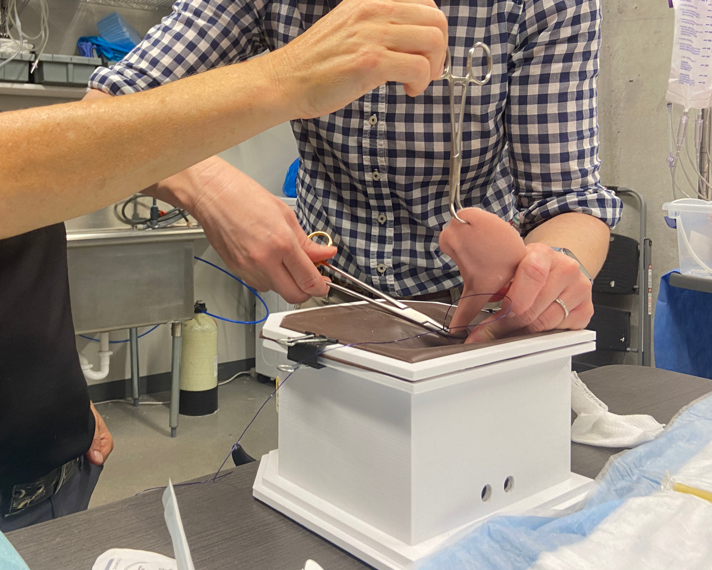 Equine Castration Surgical Simulator VET4810 lifestyle image 2