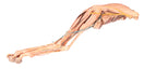 Switch VP9015 3D Printed Canine Hindlimb 3 image