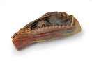 Switch Canine Thoracic Cavity 3D Printed Model 2 image