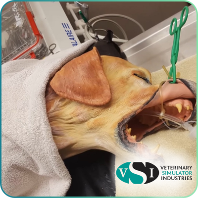Veterinary Simulator Industries (VSI)