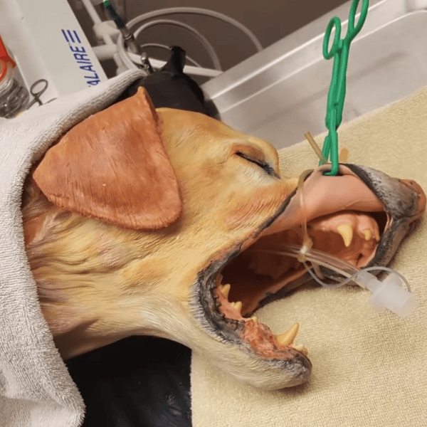 <span class='visually-hidden'>Load video: </span>1