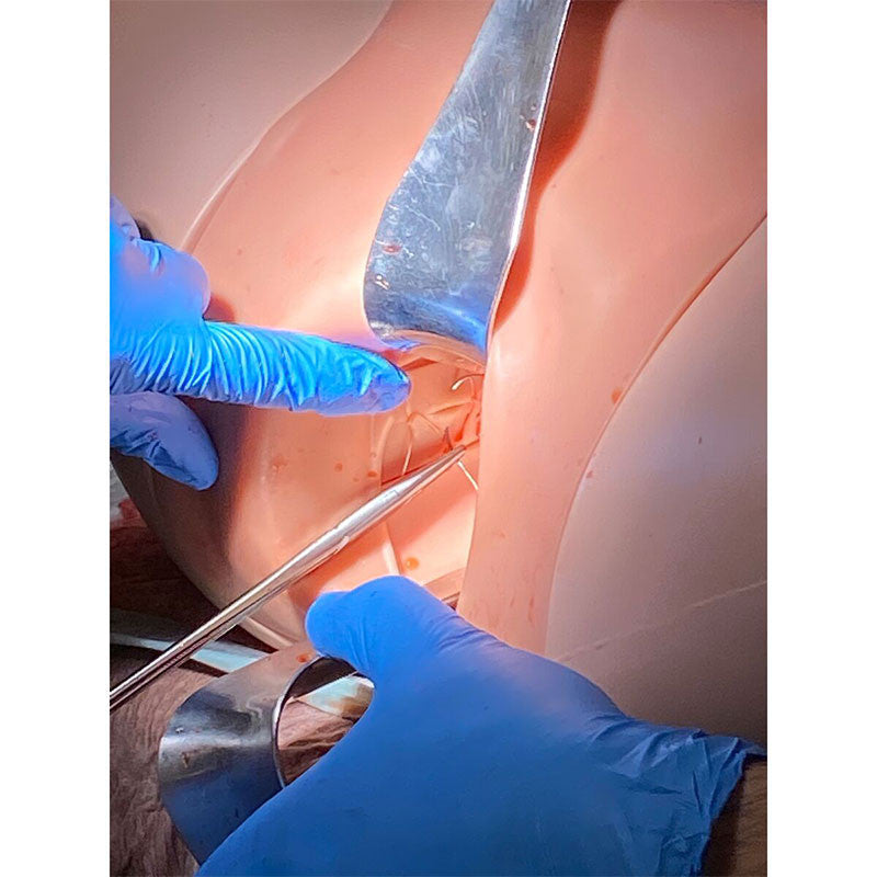 Postpartum Haemorrhage Simulator / PPH Trainer Pro