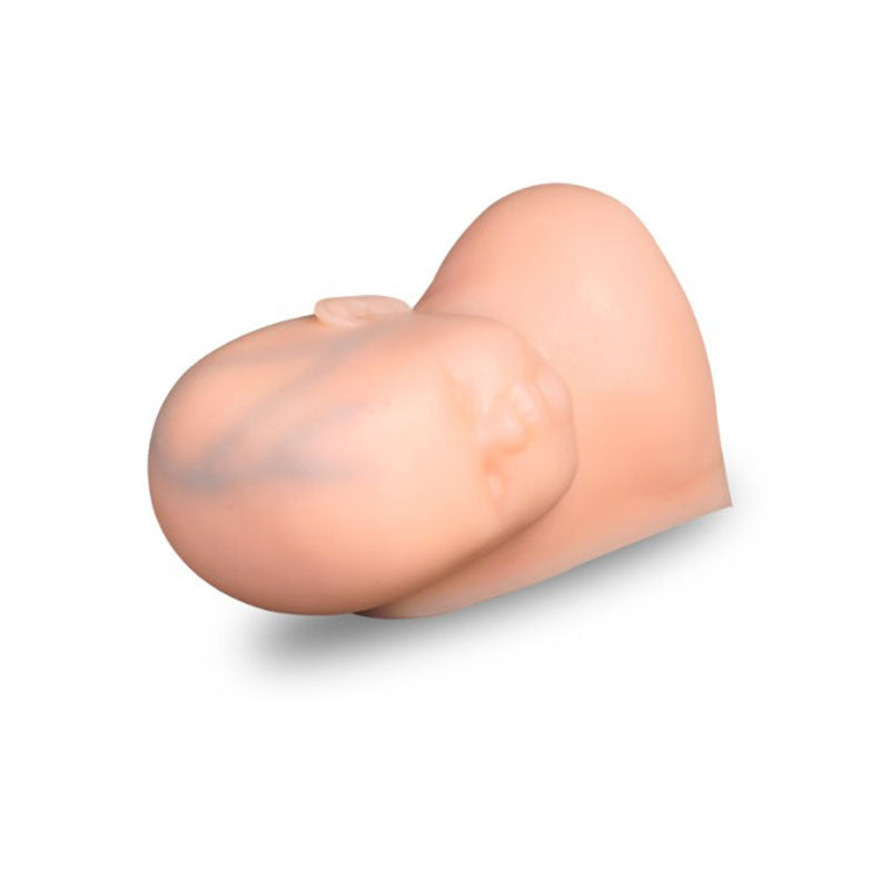 Venepuncture Training Baby Head